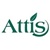 Attis